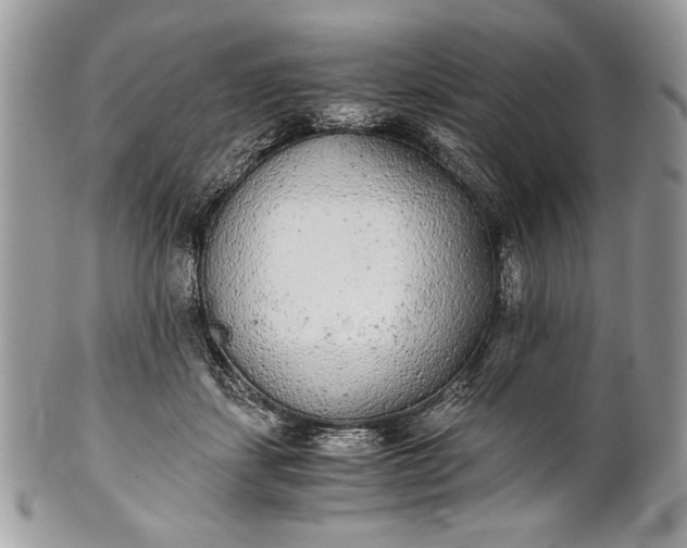 X0000100860459200807070938