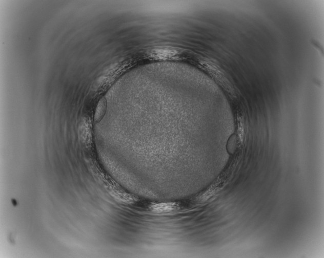 X0000100860461200807070938