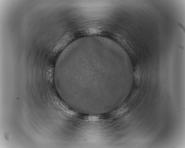 X0000100860462200807070938