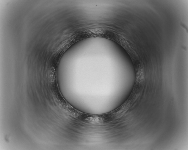 X0000100860464200807070938