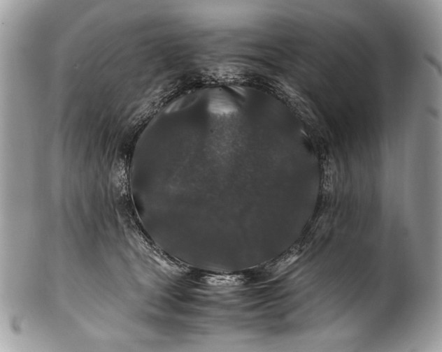 X0000100860465200807070938