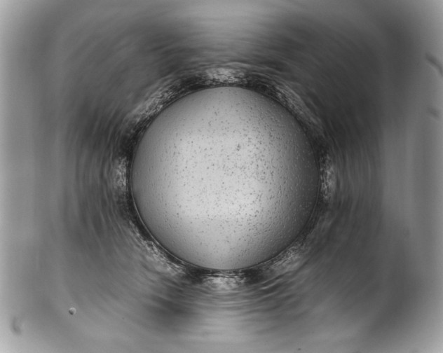 X0000100860466200807070938