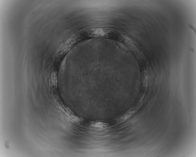 X0000100860467200807070938