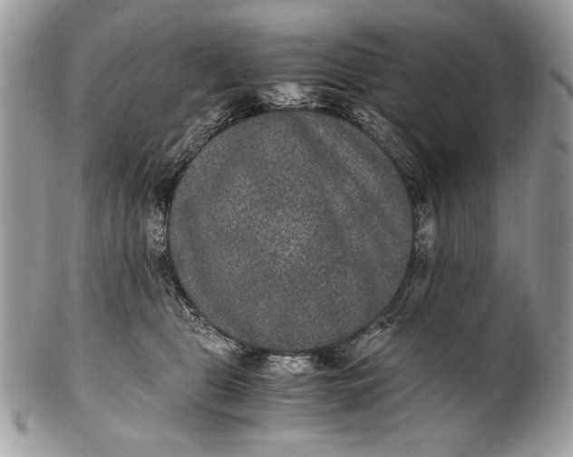 X0000100860469200807070938