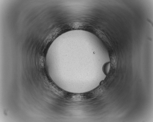 X0000100860470200807070938