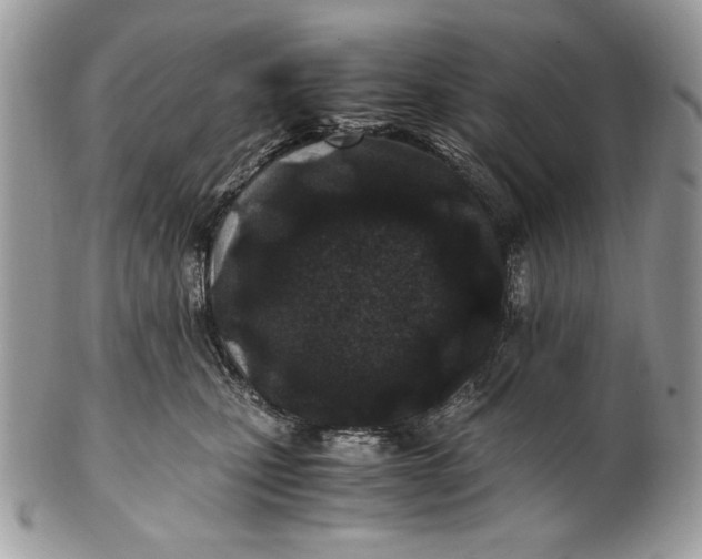 X0000100860471200807070938