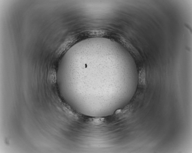 X0000100860474200807070938