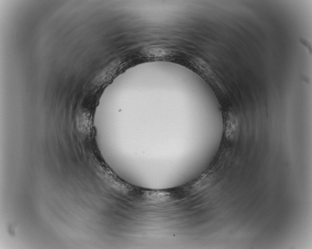 X0000100860476200807070938