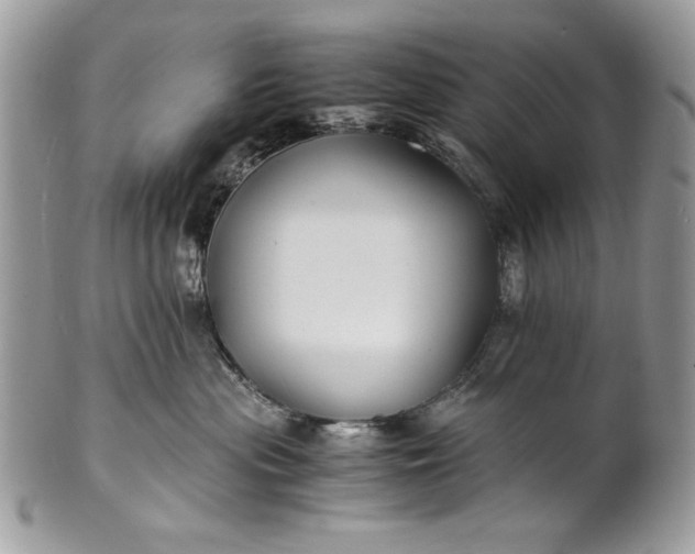 X0000100860477200807070938