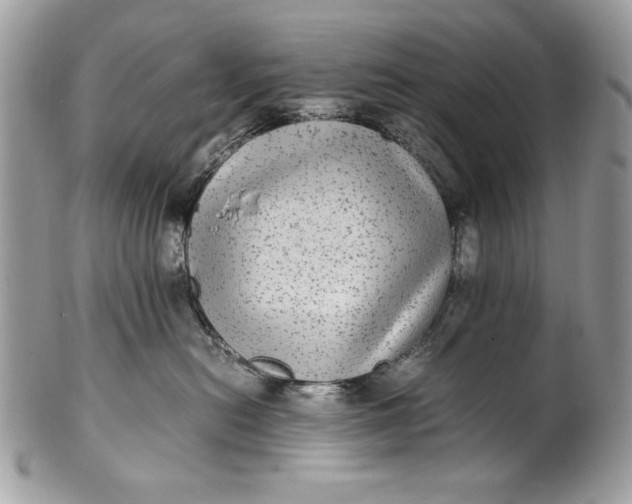 X0000100860478200807070938