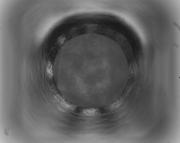 X0000100860479200807070938