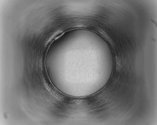 X0000100860482200807070937