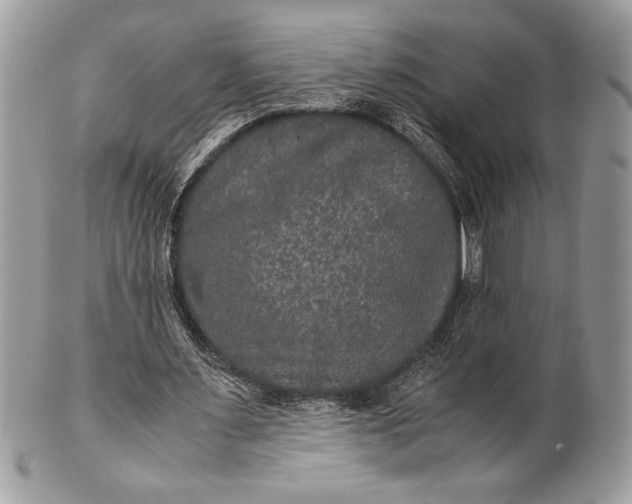 X0000100860483200807070937