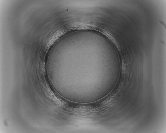 X0000100860485200807070937