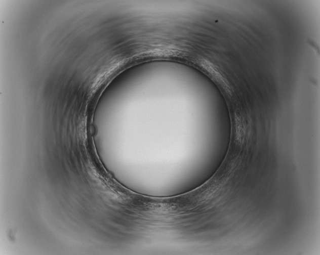 X0000100860486200807070937