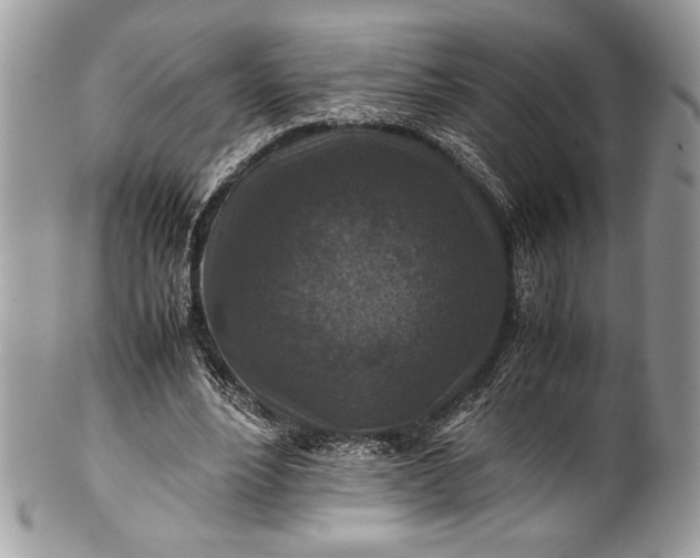 X0000100860488200807070937