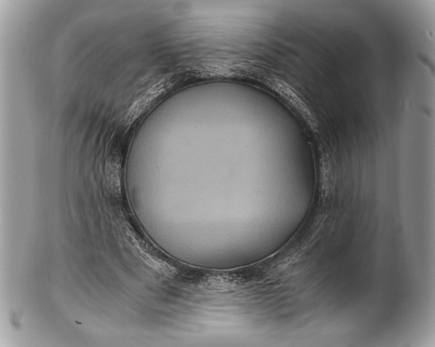 X0000100860489200807070937