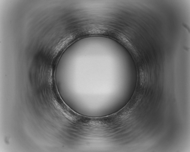 X0000100860490200807070937