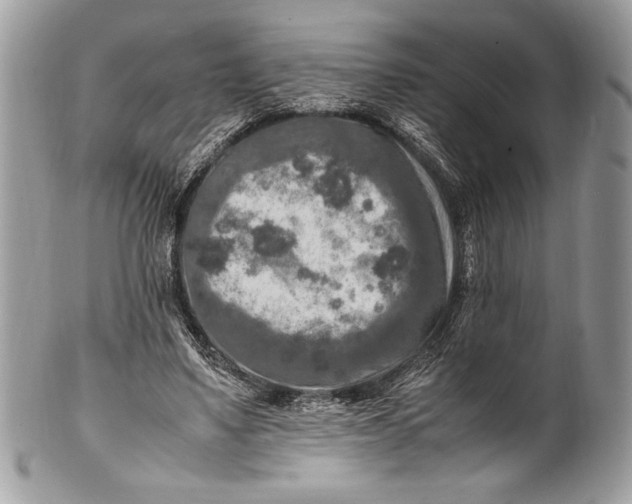 X0000100860491200807070937