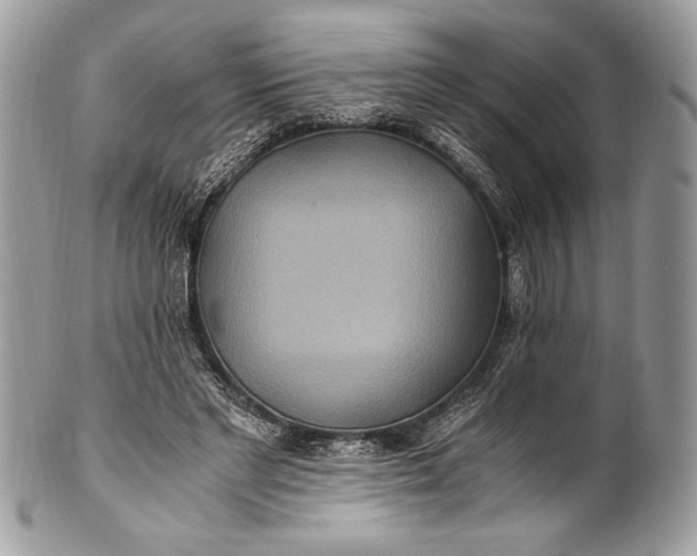 X0000100860493200807070937