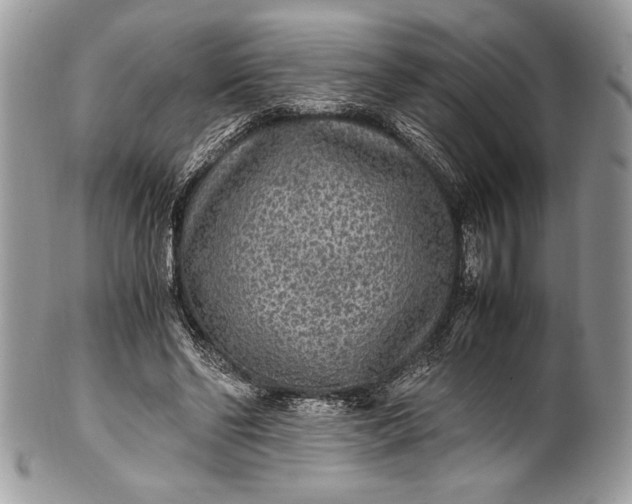 X0000100860494200807070937