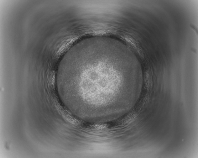 X0000100860495200807070937