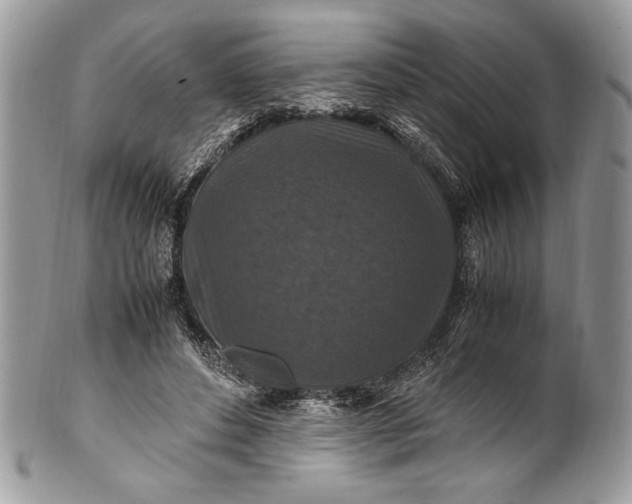 X0000100860496200807070937