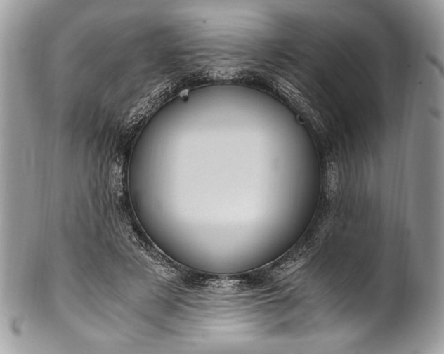 X0000100860497200807070937