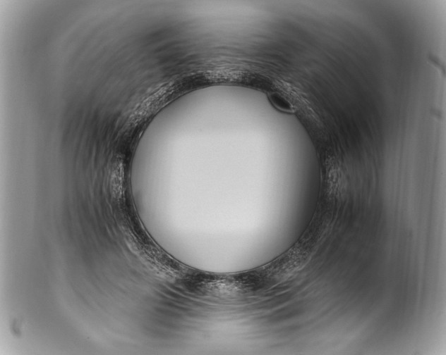 X0000100860498200807070937