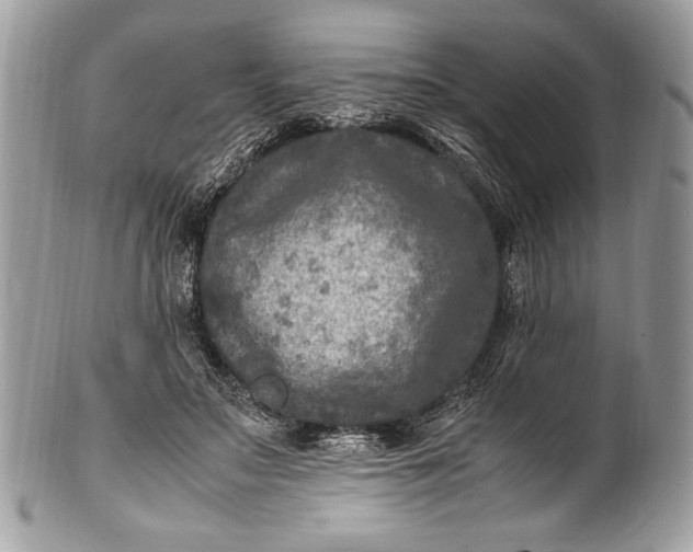 X0000100860499200807070937