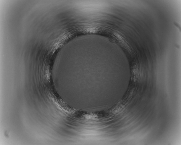 X0000100860500200807070937