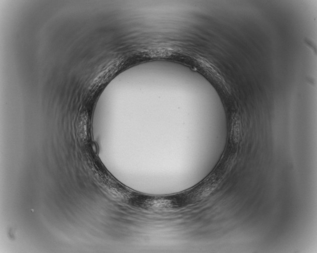 X0000100860501200807070937