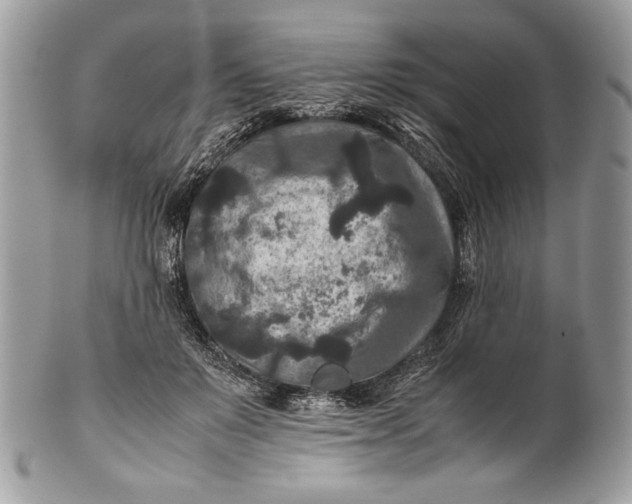 X0000100860503200807070937