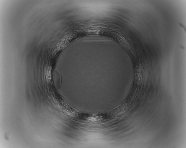 X0000100860504200807070937