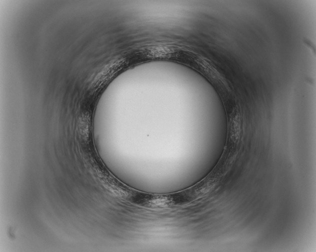 X0000100860505200807070937