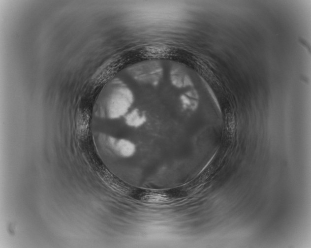 X0000100860507200807070937