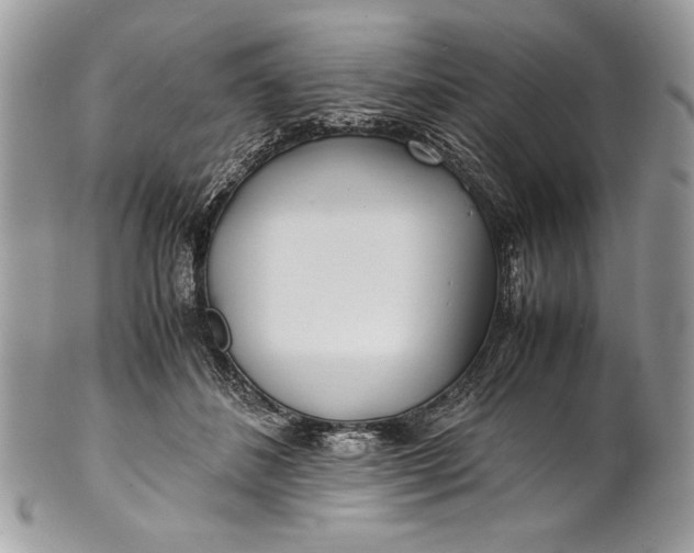 X0000100860508200807070937