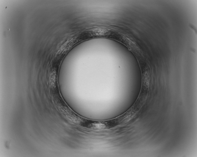 X0000100860509200807070937