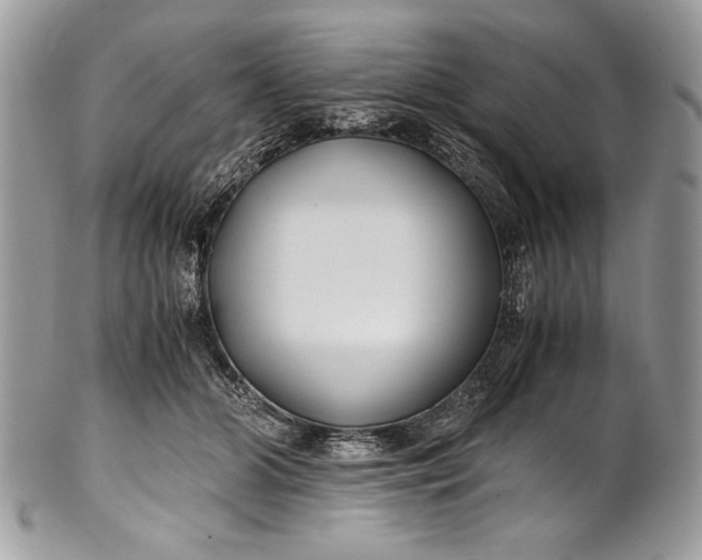 X0000100860510200807070937