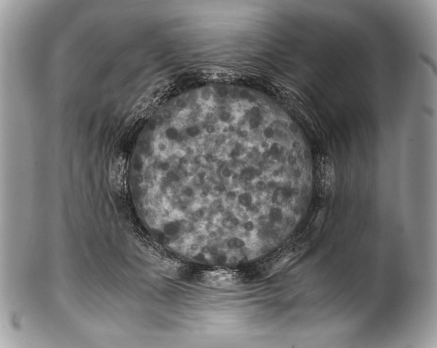 X0000100860511200807070937