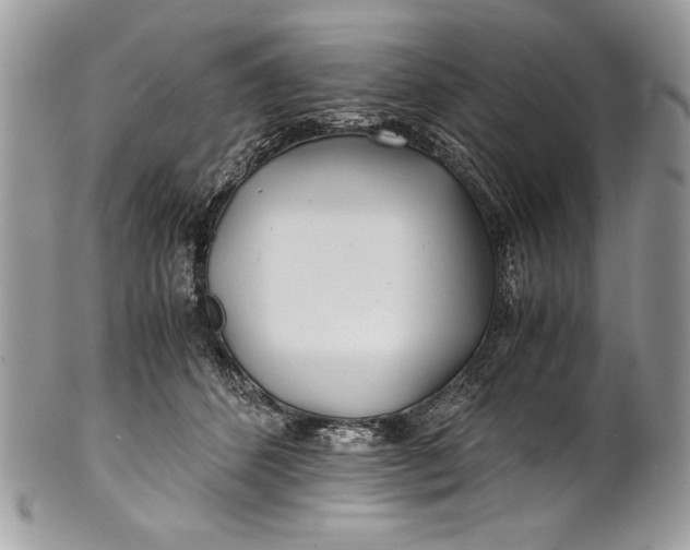 X0000100860512200807070937