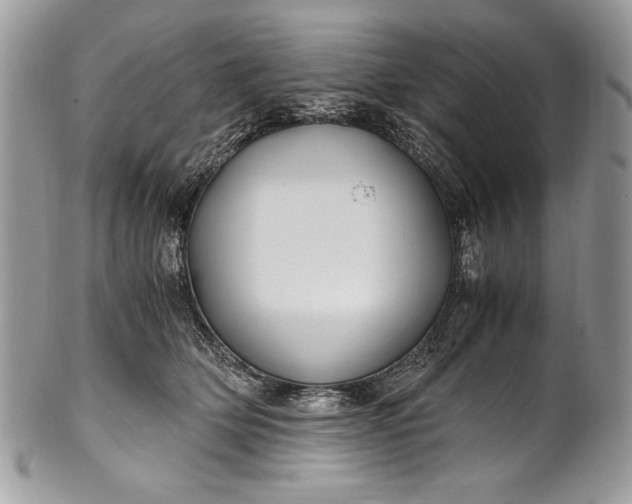 X0000100860514200807070937