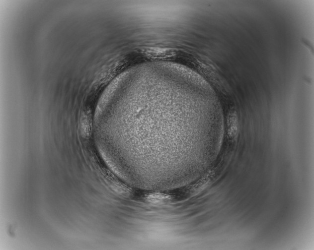 X0000100860515200807070936