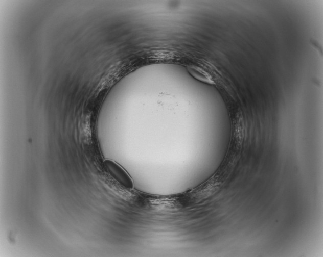 X0000100860516200807070936