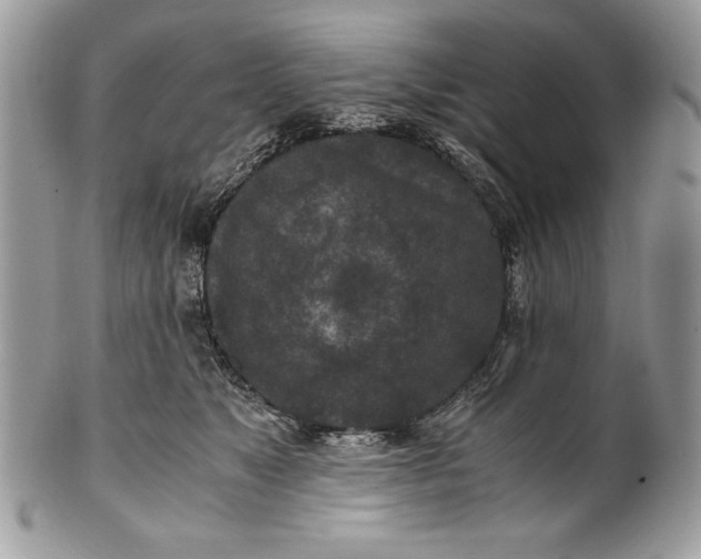 X0000100860517200807070936