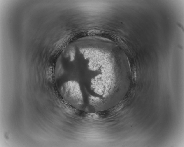 X0000100860519200807070936