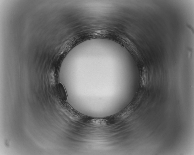 X0000100860520200807070936