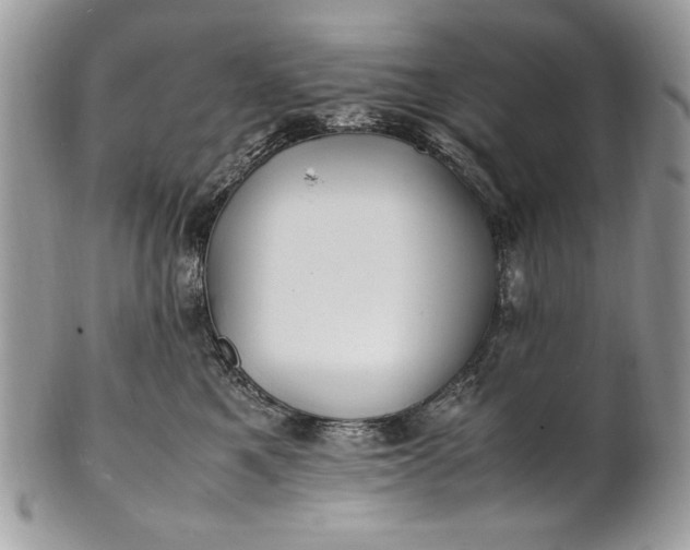 X0000100860521200807070936