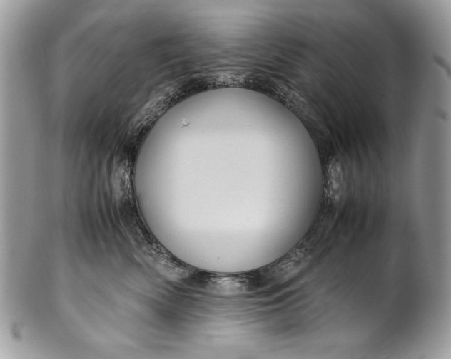 X0000100860522200807070936