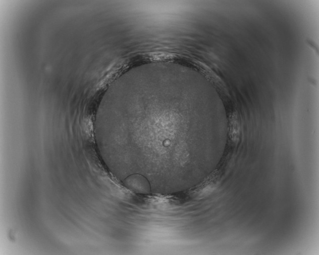 X0000100860523200807070936